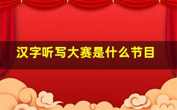 汉字听写大赛是什么节目