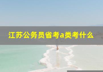 江苏公务员省考a类考什么