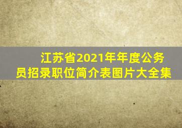 江苏省2021年年度公务员招录职位简介表图片大全集