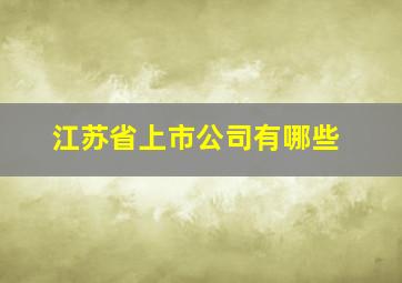 江苏省上市公司有哪些