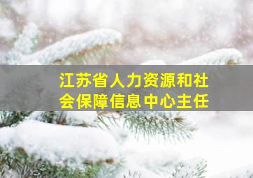 江苏省人力资源和社会保障信息中心主任