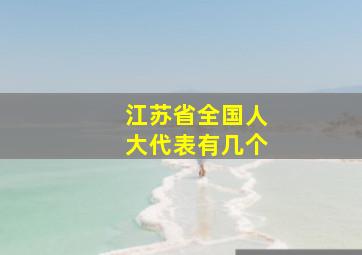 江苏省全国人大代表有几个