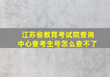 江苏省教育考试院查询中心查考生号怎么查不了