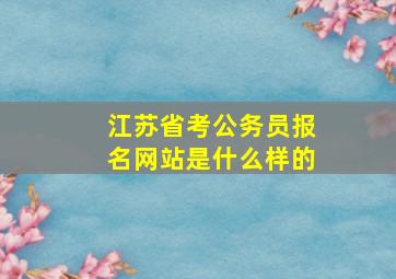 江苏省考公务员报名网站是什么样的