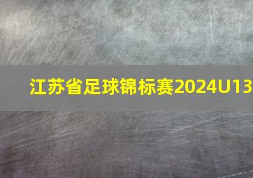 江苏省足球锦标赛2024U13