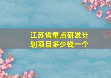 江苏省重点研发计划项目多少钱一个