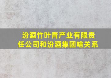 汾酒竹叶青产业有限责任公司和汾酒集团啥关系