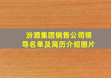 汾酒集团销售公司领导名单及简历介绍图片