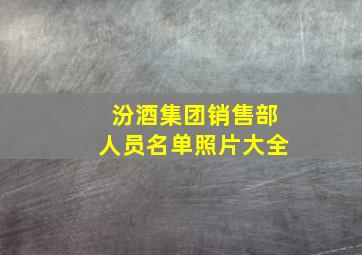 汾酒集团销售部人员名单照片大全