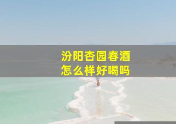 汾阳杏园春酒怎么样好喝吗