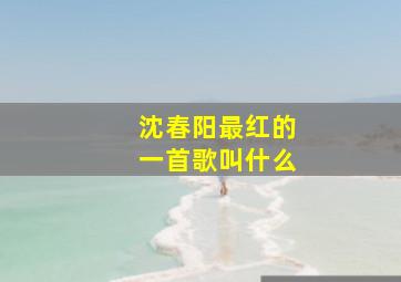 沈春阳最红的一首歌叫什么