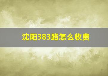 沈阳383路怎么收费