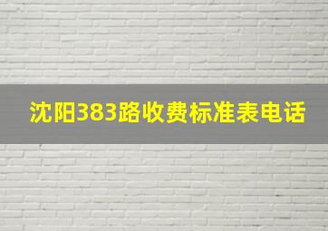 沈阳383路收费标准表电话