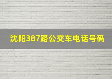 沈阳387路公交车电话号码