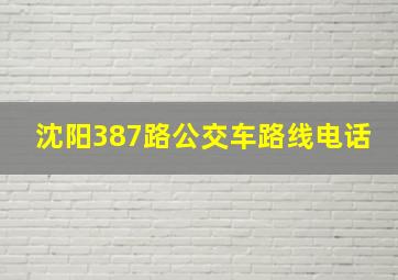 沈阳387路公交车路线电话