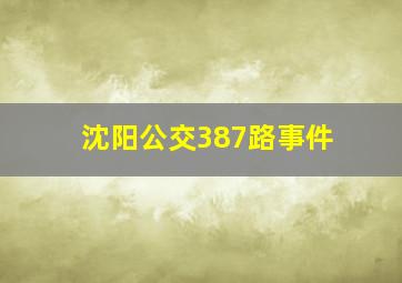 沈阳公交387路事件