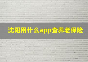 沈阳用什么app查养老保险