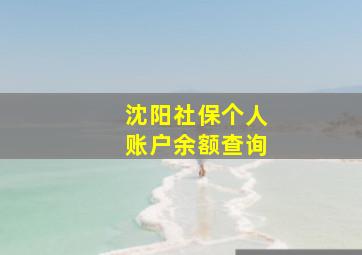 沈阳社保个人账户余额查询