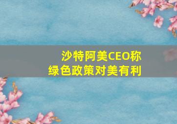 沙特阿美CEO称绿色政策对美有利