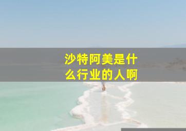 沙特阿美是什么行业的人啊