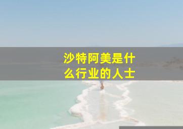 沙特阿美是什么行业的人士