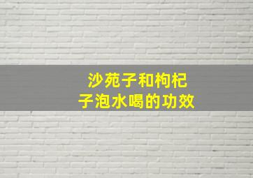 沙苑子和枸杞子泡水喝的功效