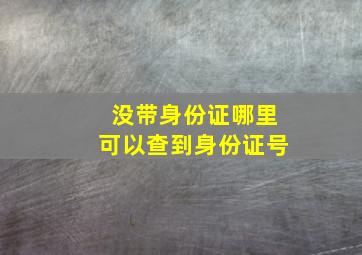 没带身份证哪里可以查到身份证号