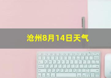 沧州8月14日天气