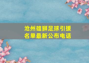 沧州雄狮足球引援名单最新公布电话