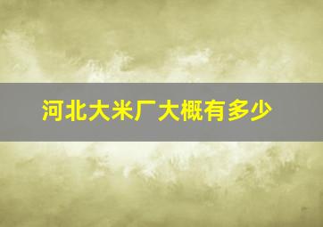 河北大米厂大概有多少