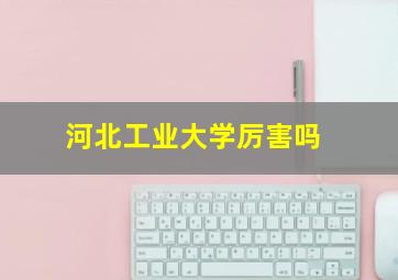 河北工业大学厉害吗