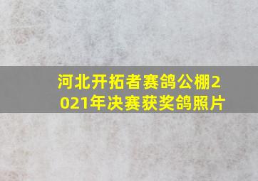 河北开拓者赛鸽公棚2021年决赛获奖鸽照片