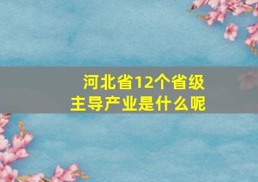 河北省12个省级主导产业是什么呢