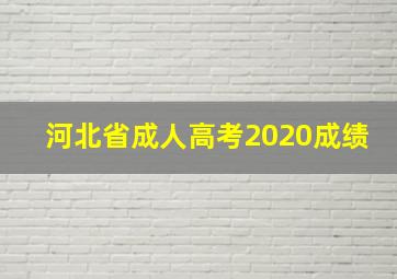 河北省成人高考2020成绩