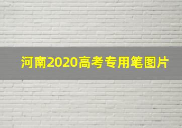 河南2020高考专用笔图片