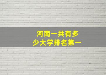 河南一共有多少大学排名第一