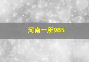 河南一所985