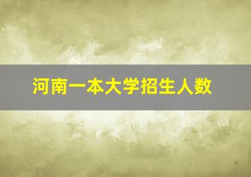 河南一本大学招生人数