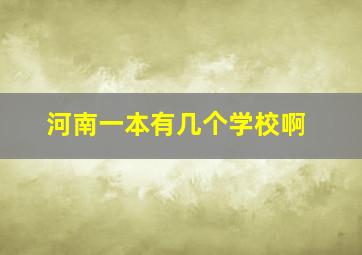 河南一本有几个学校啊