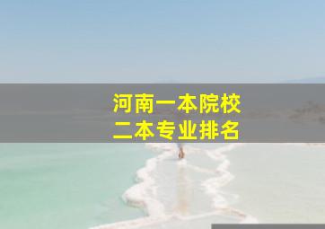 河南一本院校二本专业排名