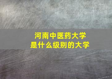 河南中医药大学是什么级别的大学