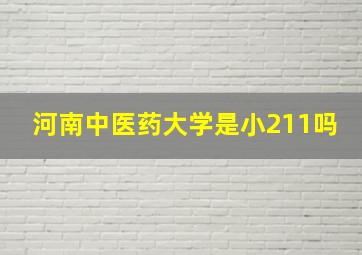 河南中医药大学是小211吗