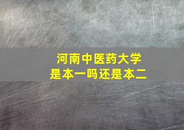 河南中医药大学是本一吗还是本二