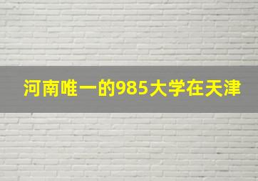 河南唯一的985大学在天津