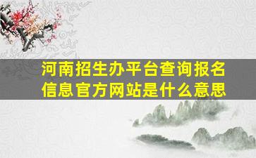 河南招生办平台查询报名信息官方网站是什么意思