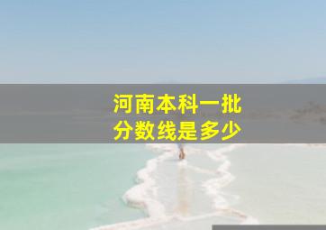 河南本科一批分数线是多少