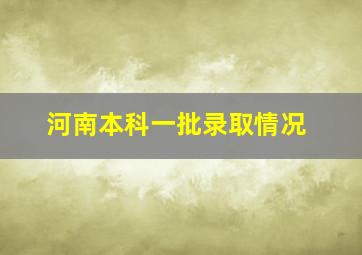 河南本科一批录取情况