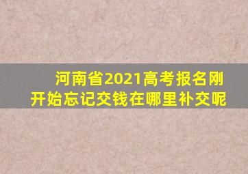 河南省2021高考报名刚开始忘记交钱在哪里补交呢