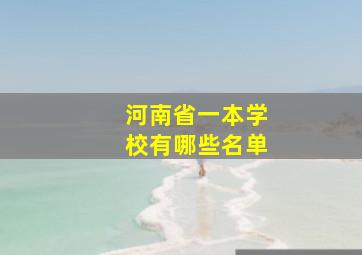 河南省一本学校有哪些名单