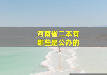 河南省二本有哪些是公办的